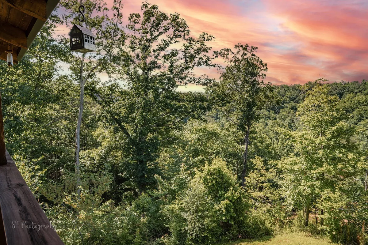 This image captures an inviting exterior view featuring a charming birdhouse set among lush greenery beneath a colorful sunset sky. The atmosphere is serene, with the porch and surrounding landscape suggesting a peaceful spot for birdwatching, relaxing outdoors, or enjoying the natural beauty that surrounds the cabin.