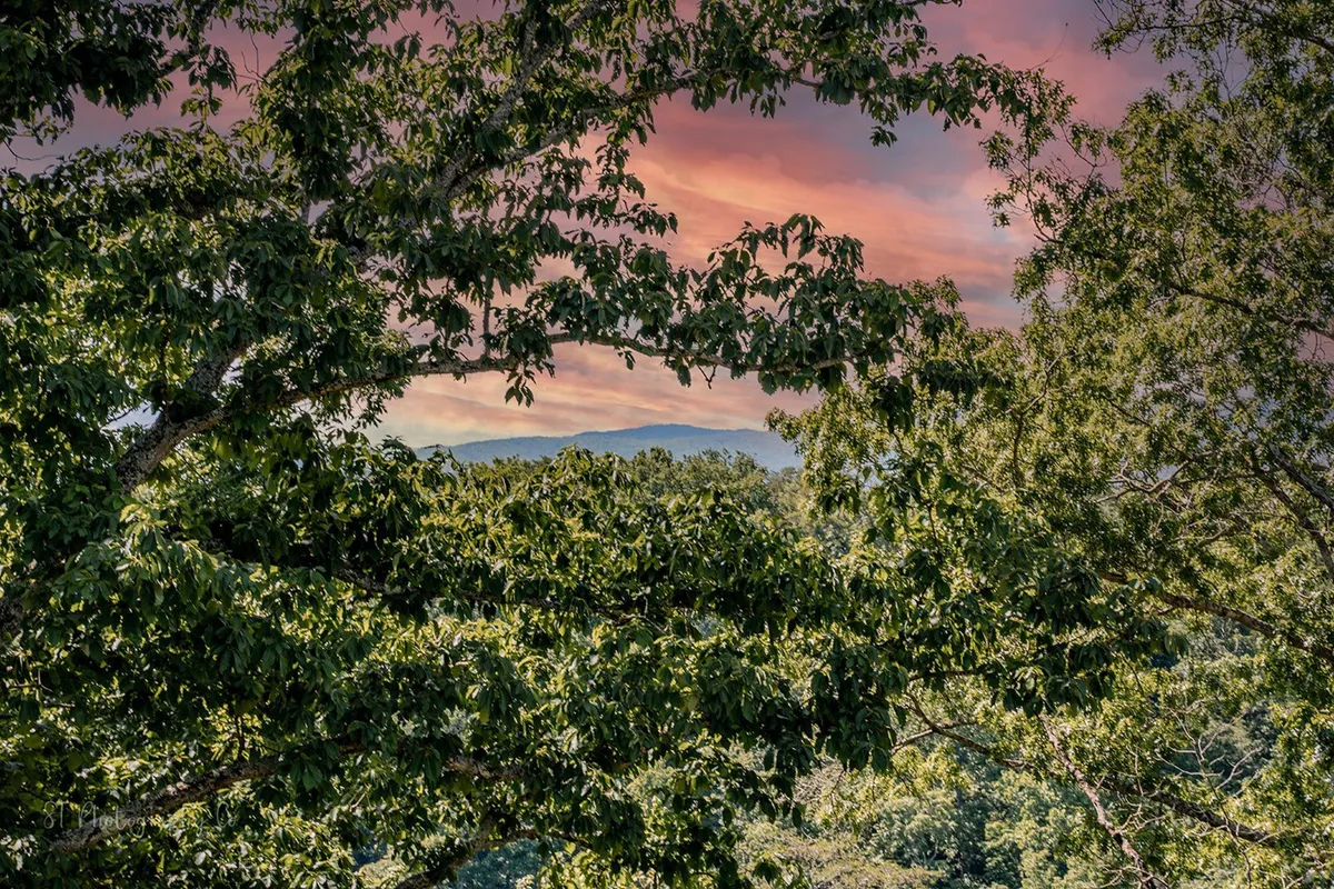 A wide-angle view of lush greenery and distant mountains beneath a colorful sky. The expansive landscape captures the spirit of exploration and the natural beauty surrounding the property.